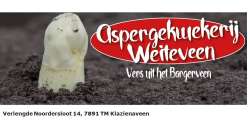 asperge kwekerij
