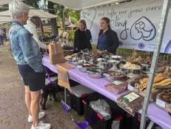 Darling Dogstore