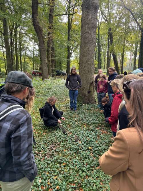Elsje wildplukken met klanten