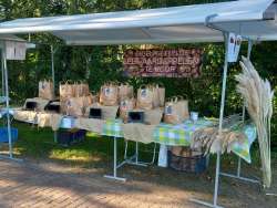 Knol aardappelen