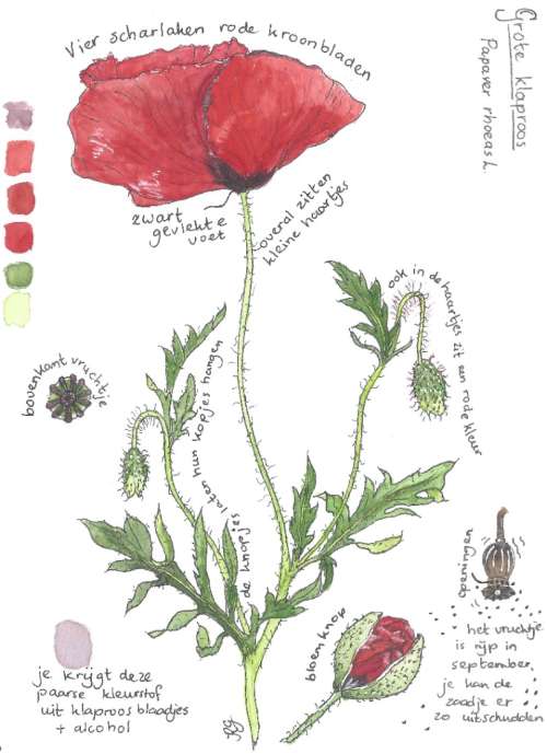 Natuurverhalen vol liefde